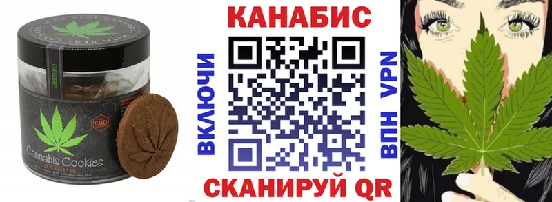 Купить закладки  Шагонар  Cannafood марихуана 