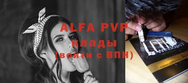 стаф Нея