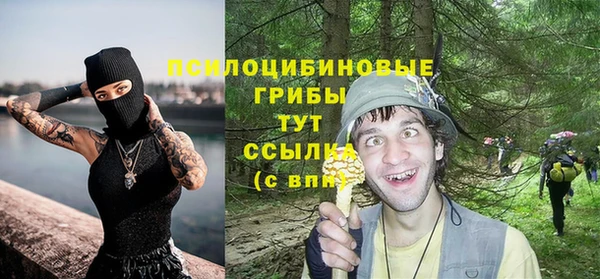 стаф Нея