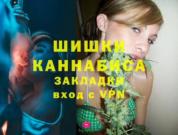 PSILOCYBIN Нефтегорск