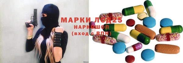 стаф Нея