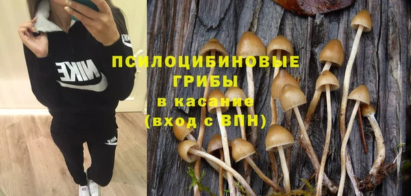 стаф Нея