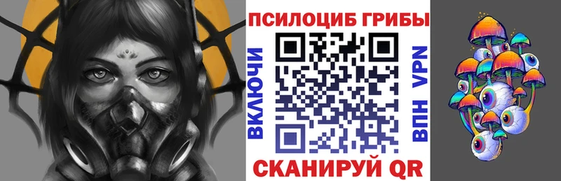 Купить  Шагонар  Галлюциногенные грибы мухоморы 